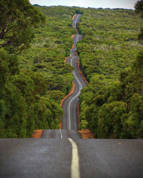 По данным пожарной службы, Австралии потребуется век для восстановления после пожаров. 01