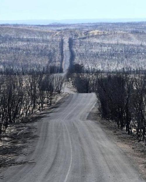 По данным пожарной службы, Австралии потребуется век для восстановления после пожаров. 02