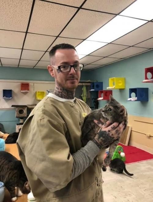 Знакомьтесь, это тюрьма пендлдон в США, в котором открылся приют для бездомных кошечек. 02