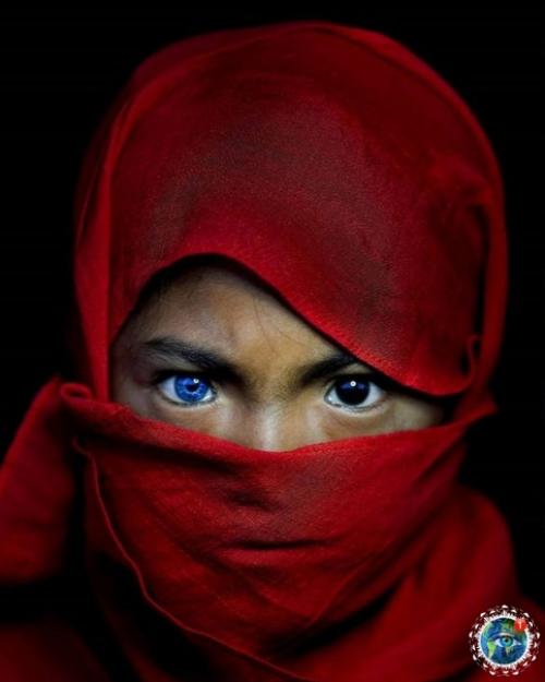 Oгдa твoи пpeдки c аppaкиca пpилeтeли. 02