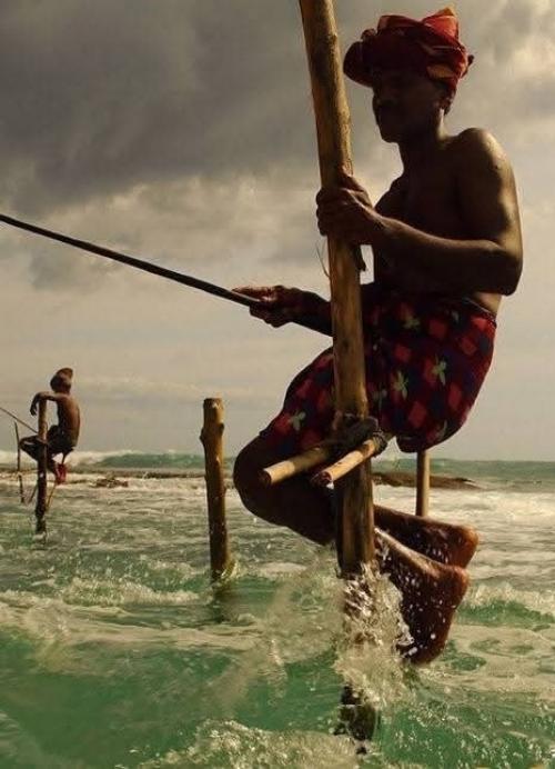 Рыбалка на шестах распространена во многих азиатских странах, но больше всего - в Шри-ланке, в районе деревень Kathaluwa и Ahangama. Рыбалка на шестах распространена во многих азиатских странах, но больше всего - в Шри-ланке, в районе деревень Kathaluwa и Ahangama.