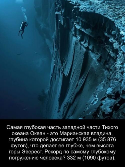 Когда вы опускаетесь на глубину 200 метров под поверхностью океана, привычный мир исчезает.