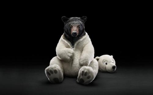 Задача из китайского экзамена по физике. 

