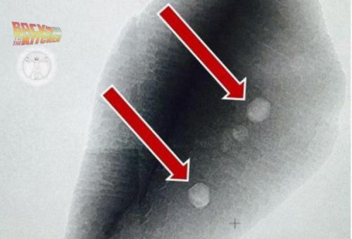 Жизнь на земле появилась на 300 млн лет раньше, чем считалось.