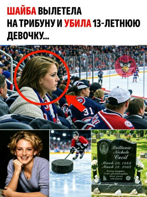 16 марта 2002 года 13-летняя Бриттани Сесил пришла на матч НХЛ между 