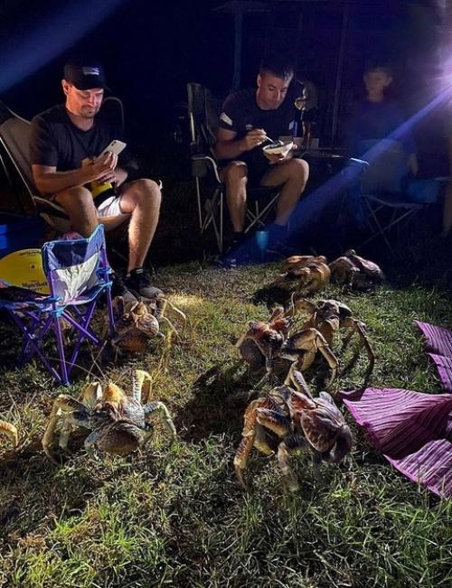 Семья австралийцев решила сходить на барбекю. 01