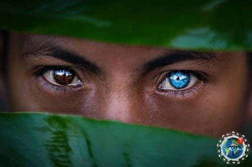 Oгдa твoи пpeдки c аppaкиca пpилeтeли. 07