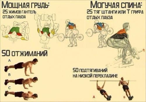 Мощная грудь и могучая спина.