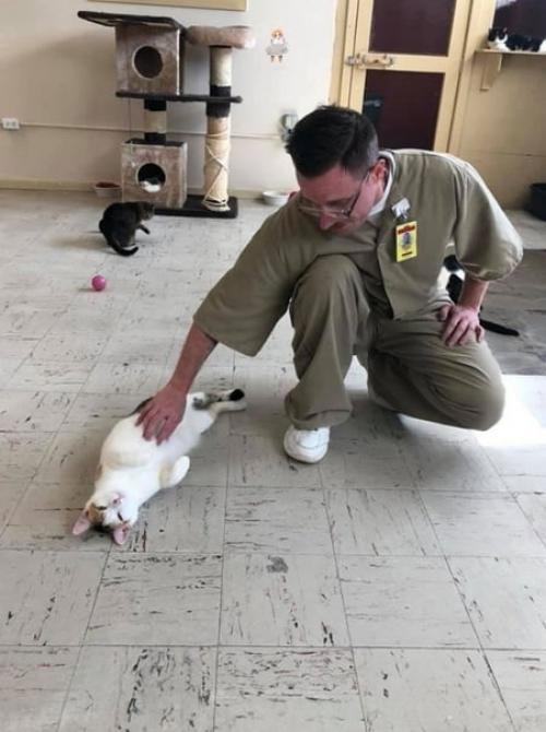 Знакомьтесь, это тюрьма пендлдон в США, в котором открылся приют для бездомных кошечек. 03