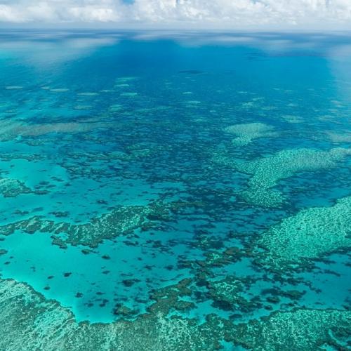 В Австралии 80-летняя пассажирка круиза Coral Adventurer погибла после того, как судно уплыло, оставив её на острове лизард. 01