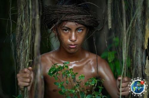 Oгдa твoи пpeдки c аppaкиca пpилeтeли. 06