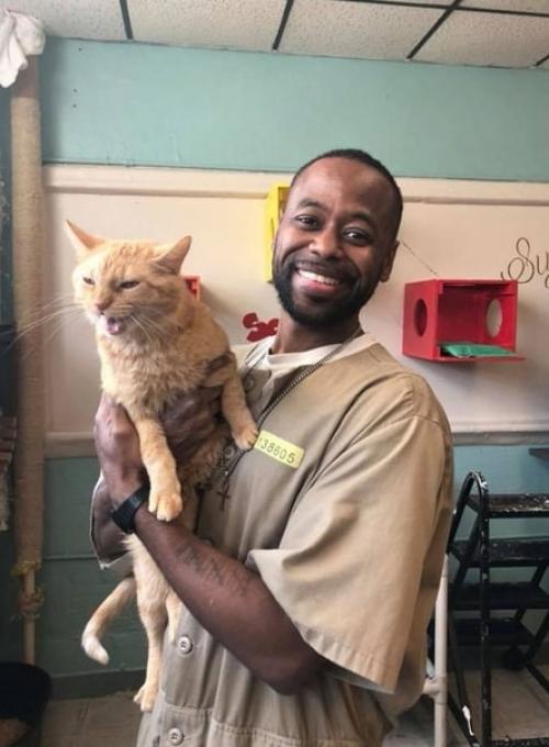 Знакомьтесь, это тюрьма пендлдон в США, в котором открылся приют для бездомных кошечек. 08