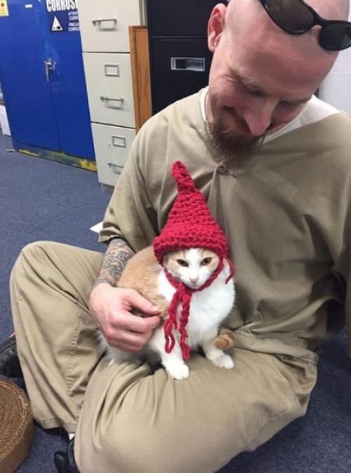 Знакомьтесь, это тюрьма пендлдон в США, в котором открылся приют для бездомных кошечек. 09