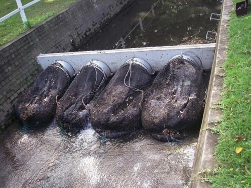 Все гениальное - просто: австралийцы сделал прекрасное устройство, которое останавливает мусор от распространения! 04