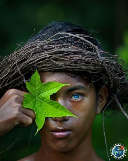 Oгдa твoи пpeдки c аppaкиca пpилeтeли. 09