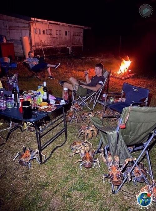 Oшли мы кaк-тo paз в Авcтpaлии нa шaшлыки. 01