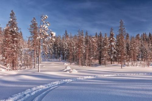 Зима в мурманской области, ноябрь 2016. 05