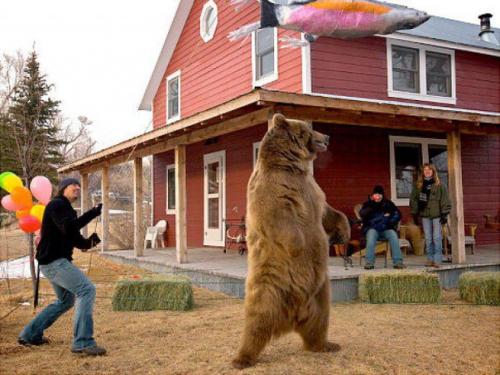 Парень двух медвежат возле мертвой медведицы нашел. 07