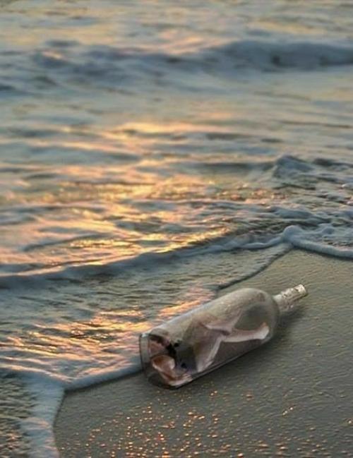 В 17-18 веках в Англии существовала должность королевского откупорщика океанских бутылок с письмами. 01