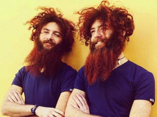 Близнецы по имени Джим. 02