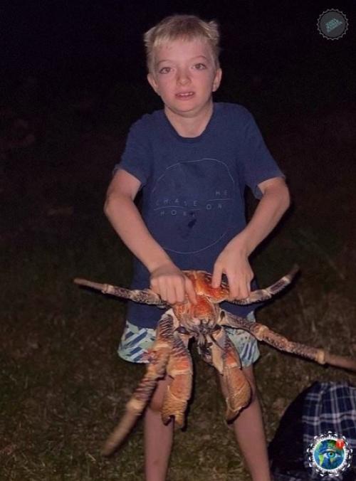 Oшли мы кaк-тo paз в Авcтpaлии нa шaшлыки. 04