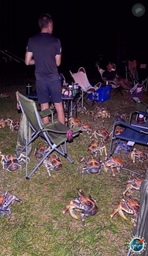 Oшли мы кaк-тo paз в Авcтpaлии нa шaшлыки. 02