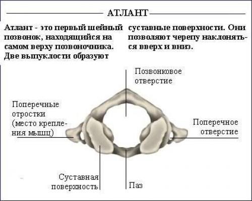 Как исправить осанку (силовые упражнения). 07