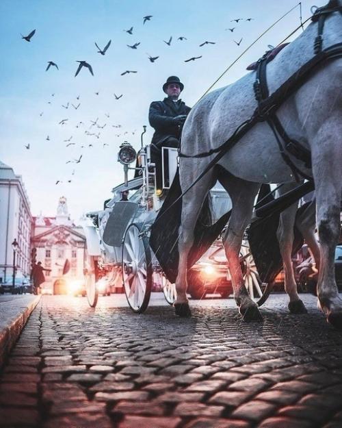 Зимняя сkазkа австрии. 04