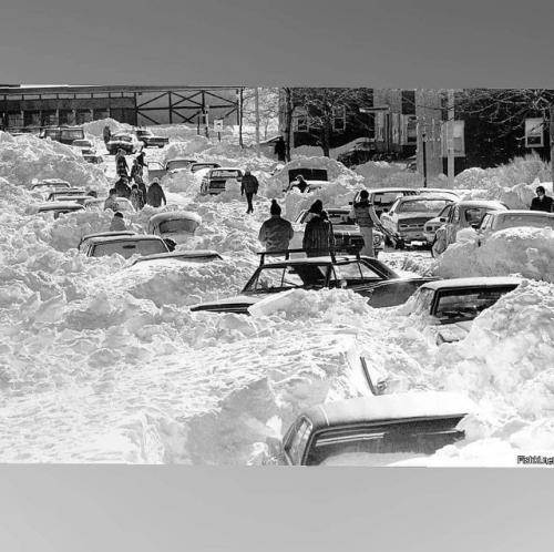 Самая смертоносная метель в истории, погубившая 4 тысячи жизней. 

