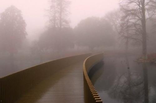 Почему туманы бывают , внимание, только в безветренную погоду?