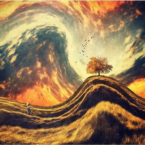 7 внутренних законов.