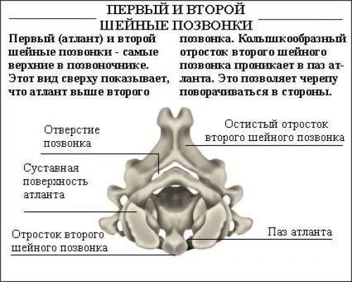 Как исправить осанку (силовые упражнения). 05