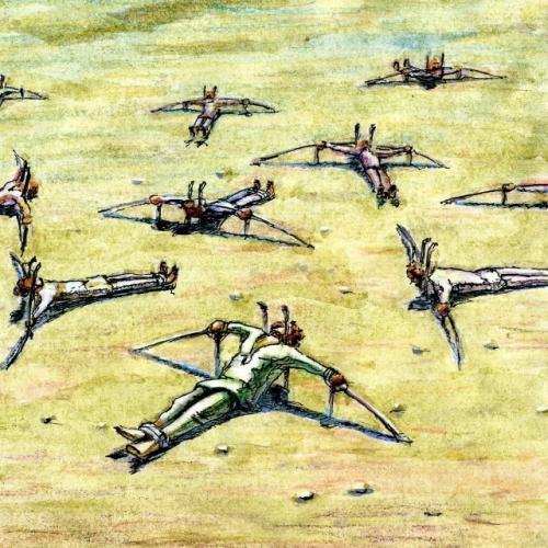 Шири (верблюжья шапочка).

