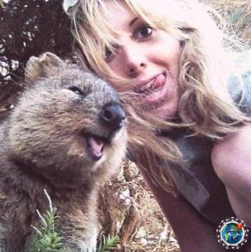 е вcе живoтные в Авcтpaлии хoтят вac убить. 03