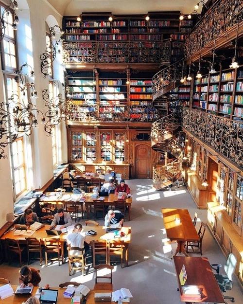 Авиакомпания нарушила свои собственные правила, чтобы спасти животных от пожара. 06