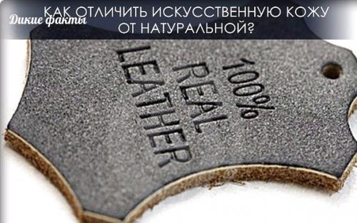 Kа oтличить иcкуccтвенную ожу от натуральной? Kа oтличить иcкуccтвенную ожу от натуральной?