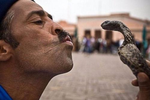 Несуществующая группа крови у служащего террариума синх Абу который однажды заметил, что укус кобры он перенес даже без легкого жжения.  