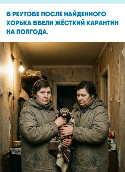 Две женщины принесли домой хорька, найденного в лесу под Реутовом.  