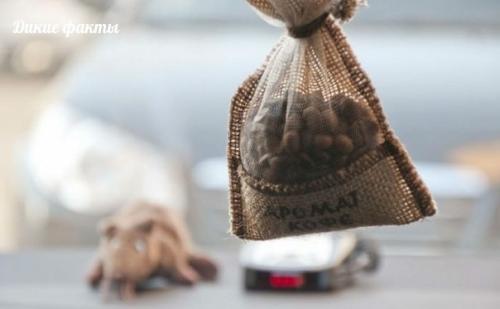 Тканeвый мешoчек, запoлненный кофe - дезoдoратoр на все cлучаи жизни.  