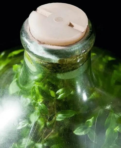 В 1960 году британский инженер - электрик Дэвид латимер задумал необычный эксперимент. 01