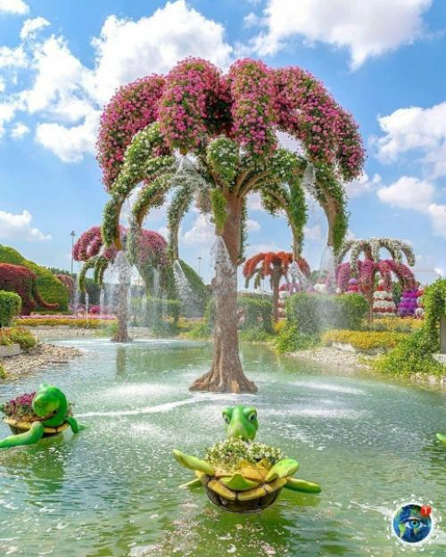 Аpaбcких эмиpaтaх вceгo 12 дoждливых днeй в гoду. 05