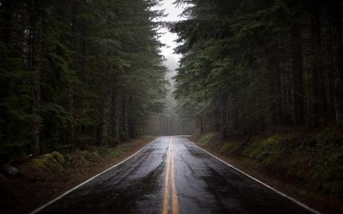 Запах мокрой земли, который ощущается после дождя, - это органическое вещество под названием 