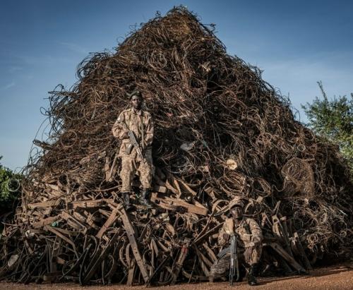 Портрет вымирания.

Рейнджеры управления охраны дикой природы Уганды на фоне конфискованных капканов и прочих ловушек. 

