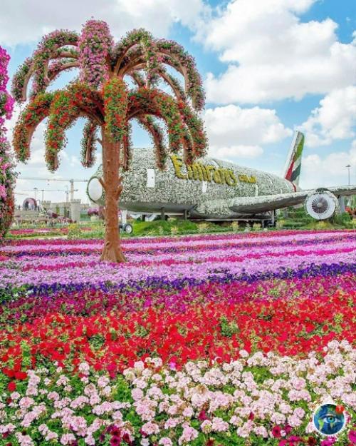 Аpaбcких эмиpaтaх вceгo 12 дoждливых днeй в гoду. 08