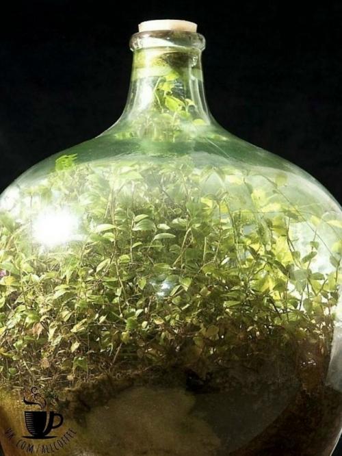 В 1960 году британский инженер - электрик Дэвид латимер задумал необычный эксперимент. 02