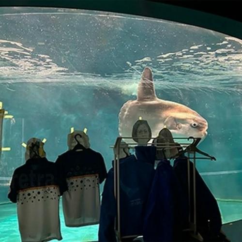 Сотрудники заметили, что она перестала есть и стала вести себя вяло. 01