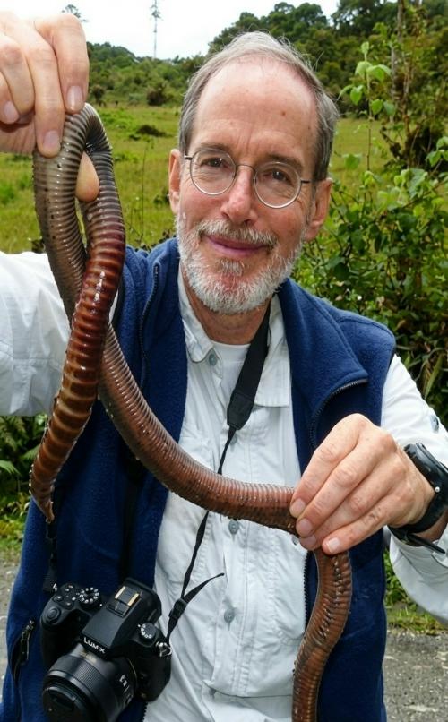 Этот вид под названием Megascolides Australis встречается лишь в небольшом районе у реки басс. 02