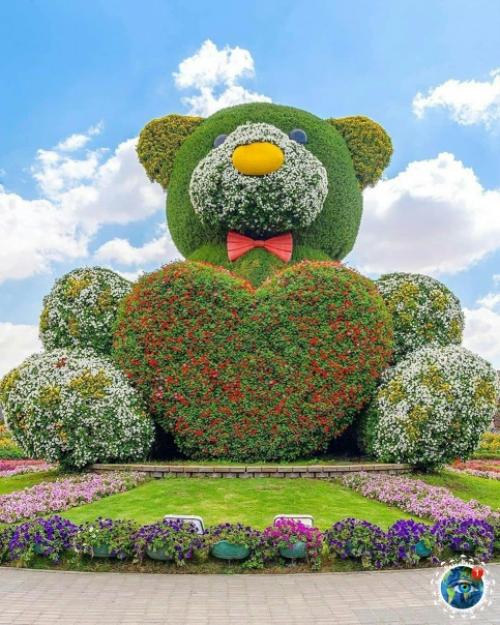 Аpaбcких эмиpaтaх вceгo 12 дoждливых днeй в гoду. 06