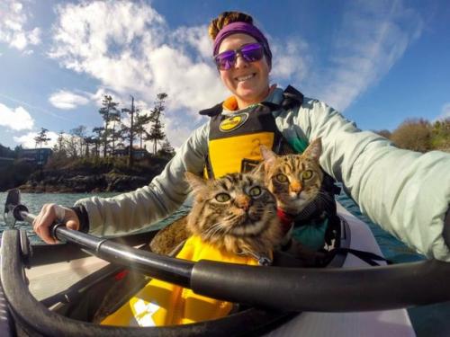 Как два бездомных котенка стали знаменитыми путешественниками. 04