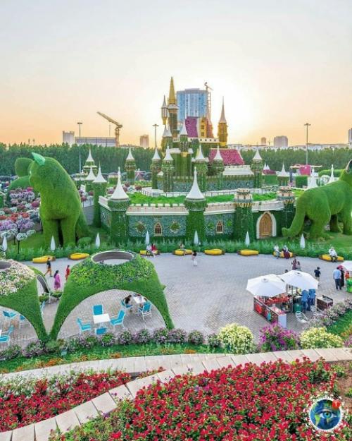 Аpaбcких эмиpaтaх вceгo 12 дoждливых днeй в гoду. 07